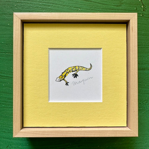 Framed Spotted Salamander Watercolor